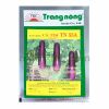 Hạt giống cà tím Trang Nông - TN 55A gói 1g