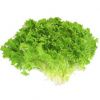 Hạt Giống Xà Lách Xoăn Gói 20gr