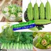 Hạt giống Khổ Qua