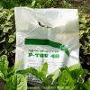 Phân Trùn Quế Long Xuyên, An Giang - túi 2kg - anh 1