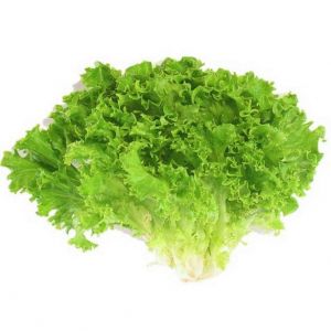 Hạt Giống Xà Lách Xoăn Gói 20gr