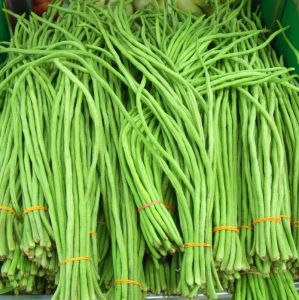 Hạt Giống Đậu Đũa Gói 20gr