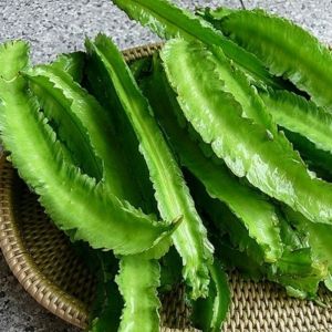 Hạt Giống Đậu Rồng Gói 20gr