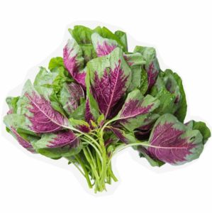 Hạt Giống Rau Dền 3 Màu Gói 50gr