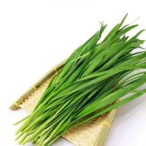 Hạt Giống Hẹ Lá Duyên Hải Trang Nông TN 174 Gói 2gr
