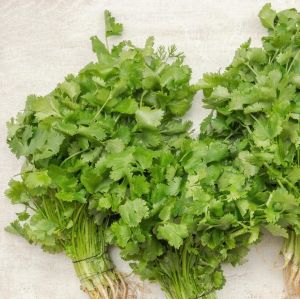 Hạt Giống Ngò Rí Hạt Nhỏ Trang Nông TN 88 Gói 100gr