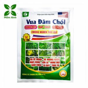 Phân Bón Vua Đâm Chồi (100g)