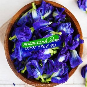 Hạt giống hoa Đậu Biếc