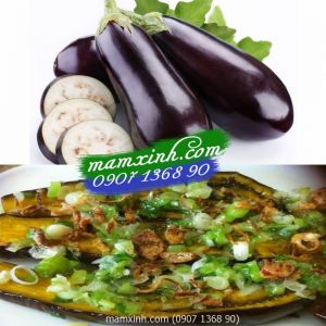 Hạt giống Cà Tím